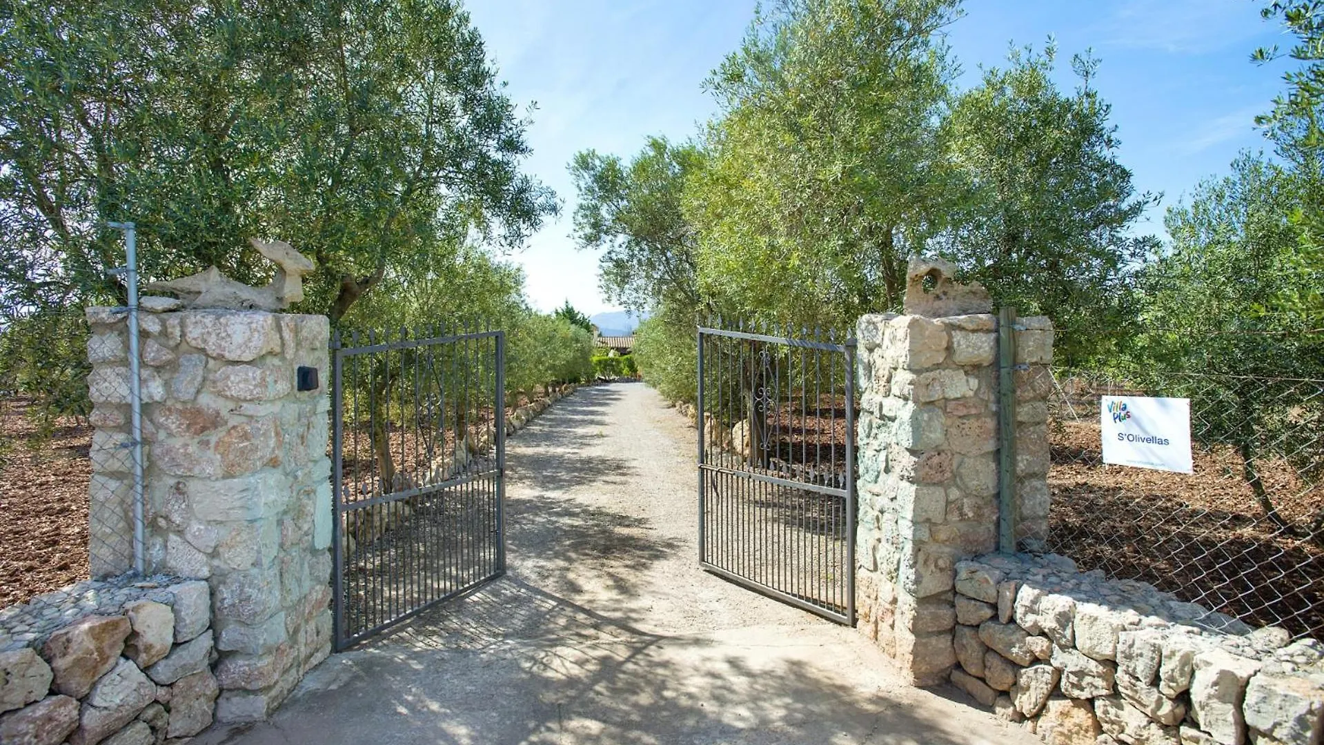 Villa Solivellas By Villa Plus Port de Pollenca Spain